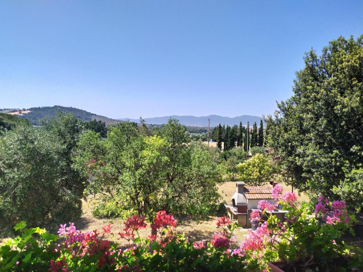 Agriturismo San Giorgino Grosseto Ngoại thất bức ảnh