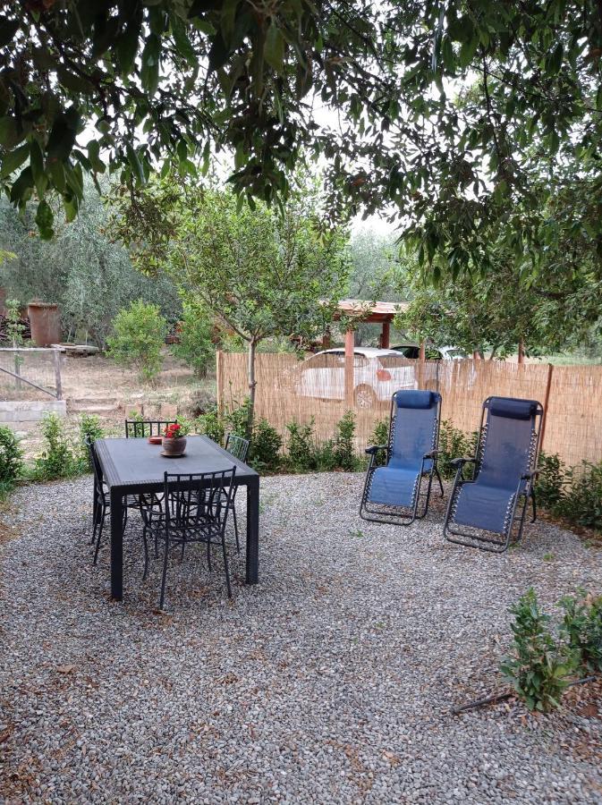 Agriturismo San Giorgino Grosseto Phòng bức ảnh