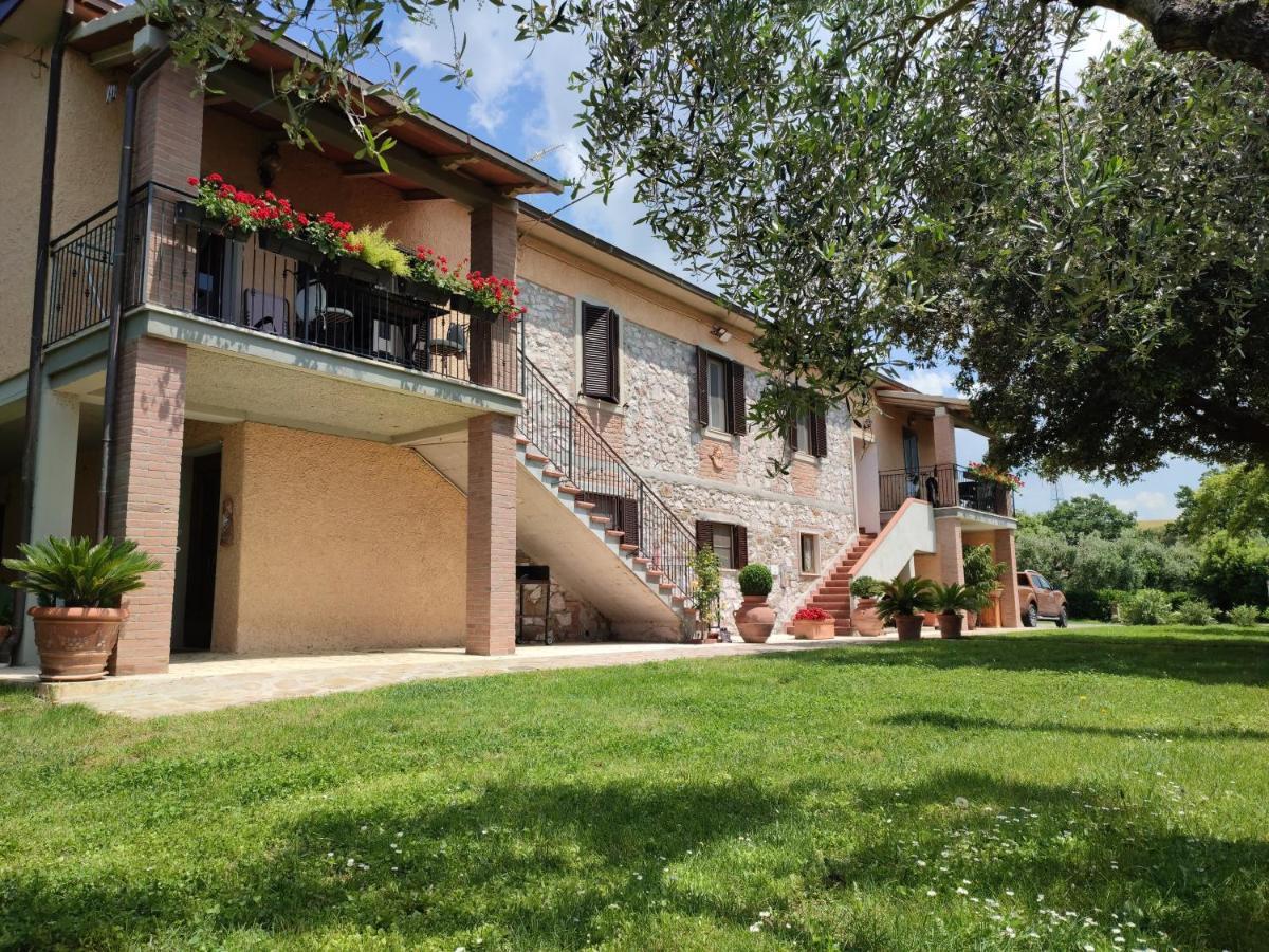 Agriturismo San Giorgino Grosseto Ngoại thất bức ảnh