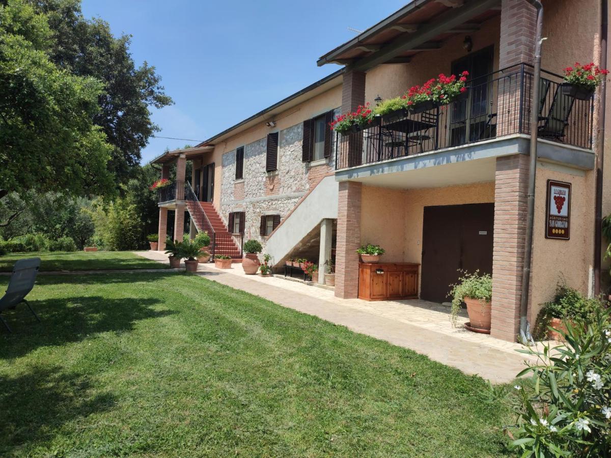 Agriturismo San Giorgino Grosseto Ngoại thất bức ảnh