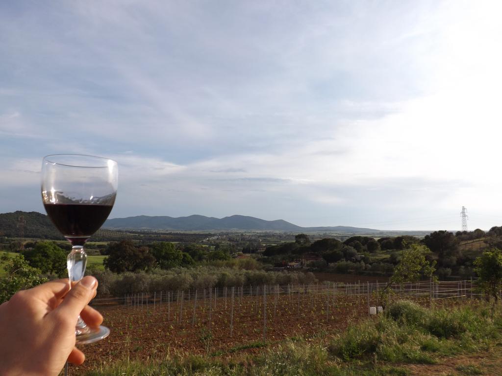 Agriturismo San Giorgino Grosseto Ngoại thất bức ảnh